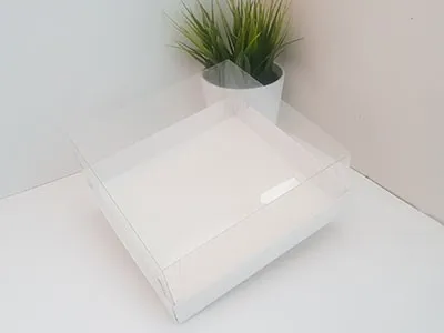 УПАКОВКА 19,5*19,5*8 см